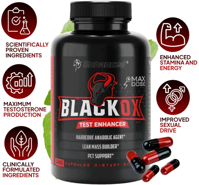 black ox